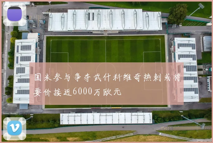 国米参与争夺武什科维奇热刺或将要价接近6000万欧元
